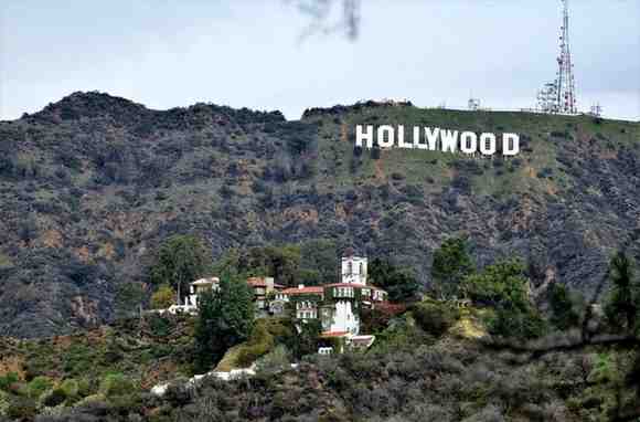 1762333524376022537.jpeg IMG_7160.jpeg