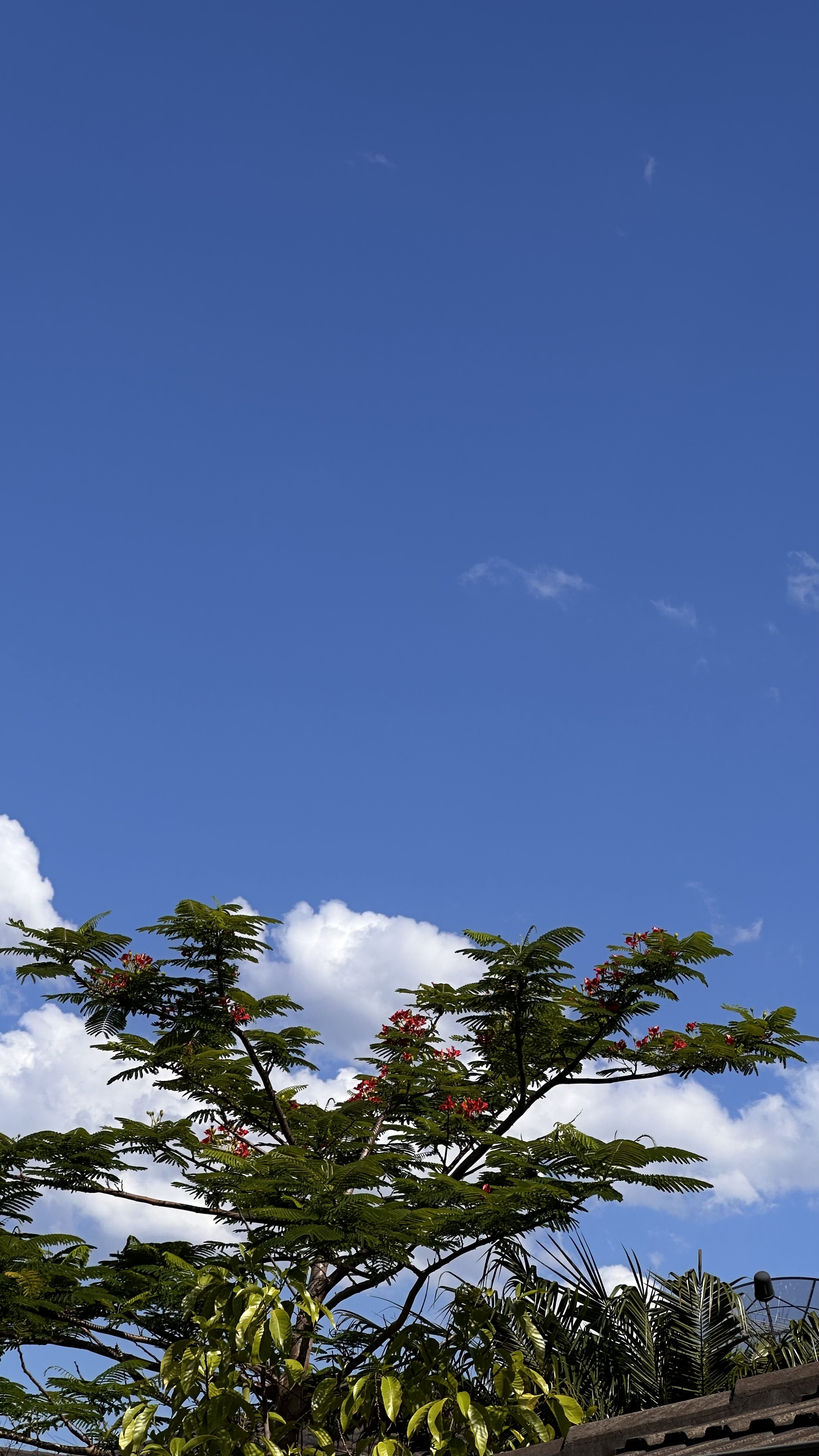 1764028420979076667.jpeg IMG_9437.jpeg