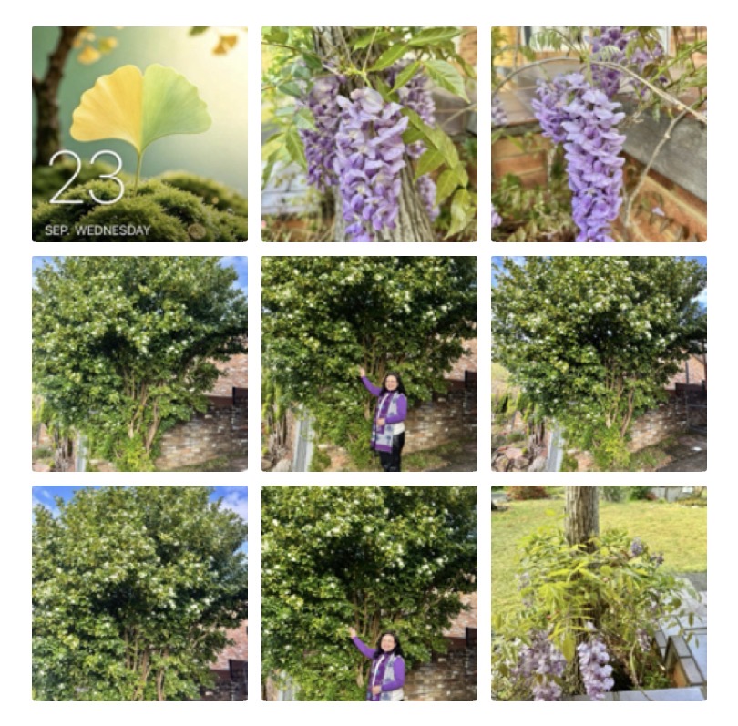 1790511803965013551.jpeg